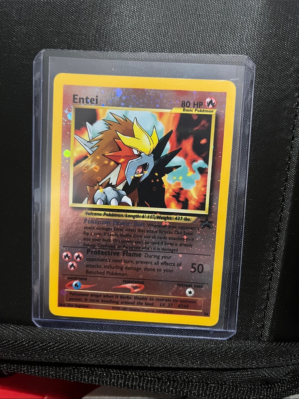 Pokemon Entei Black star promo!
